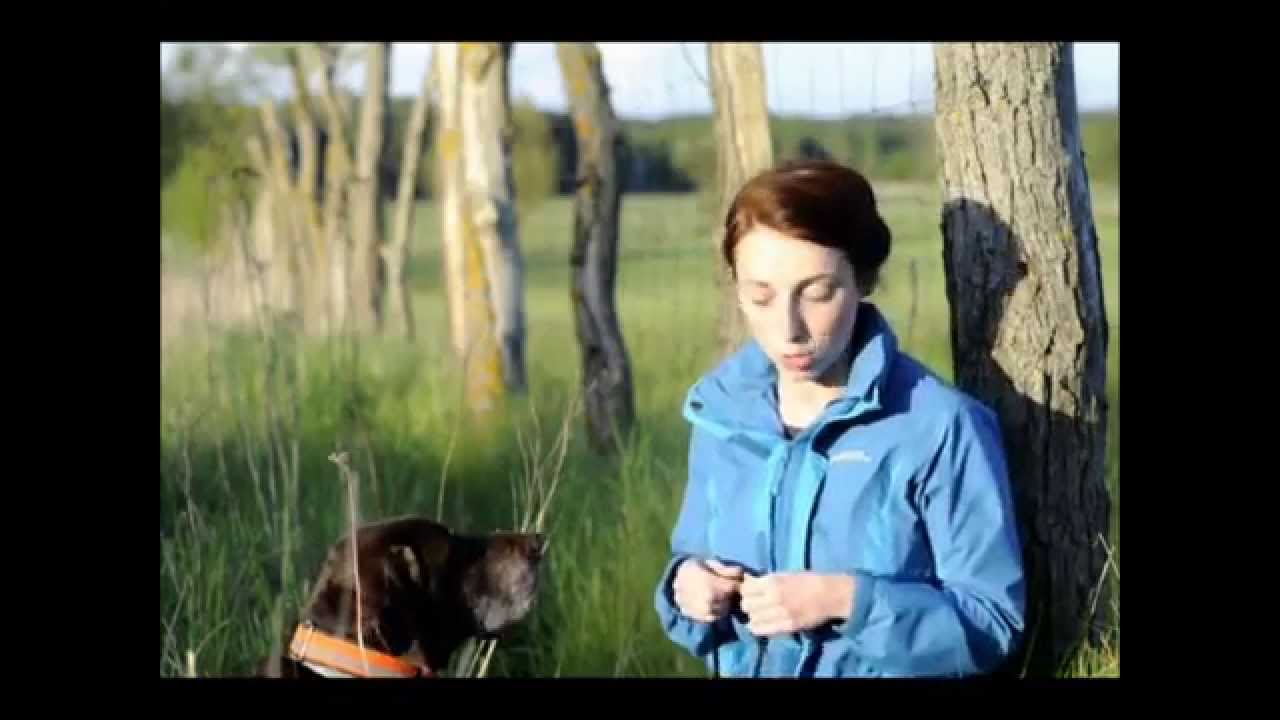 Nauka aportu cz. 1