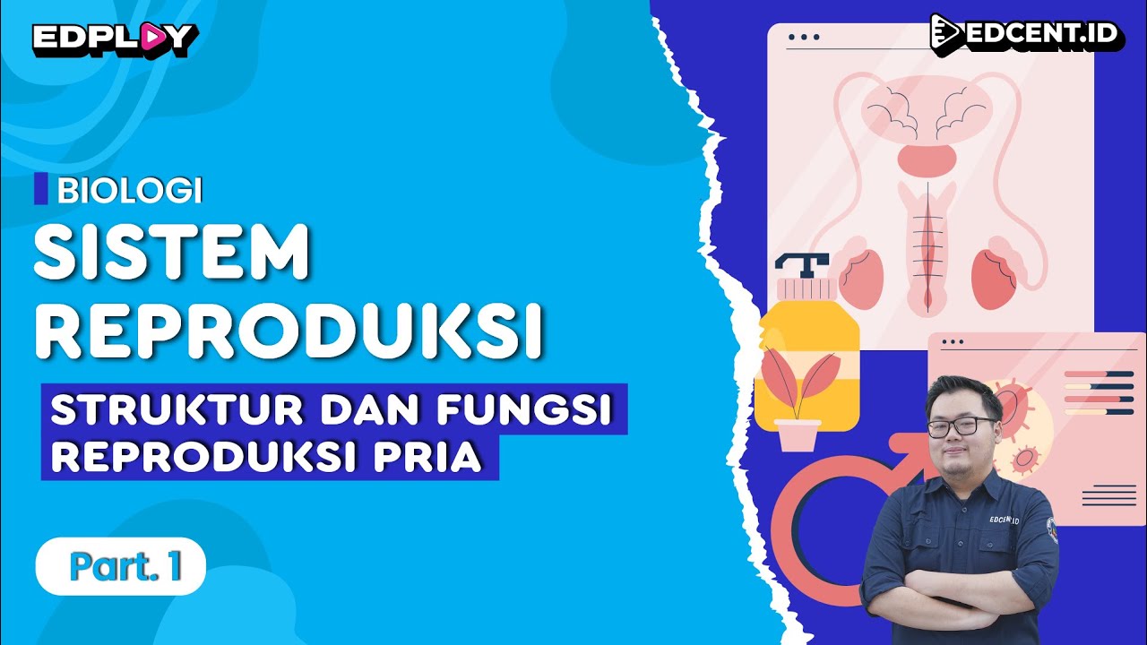 Materi Biologi: Sistem Reproduksi | Struktur & Fungsi Reproduksi Pria | Part 1