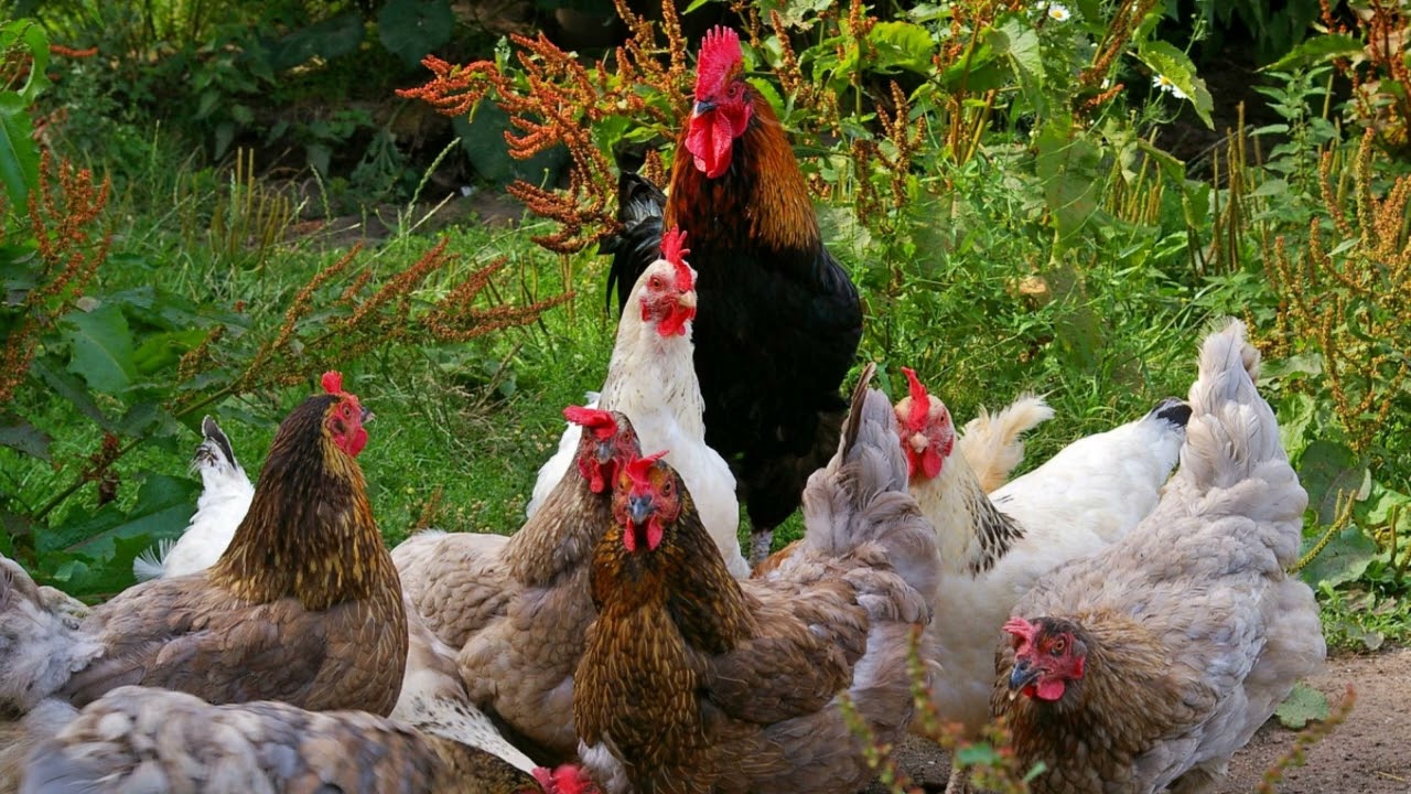 FIRST THINGS FIRST , FIRST THINGS FAST, FIRST THINGS  LAST .