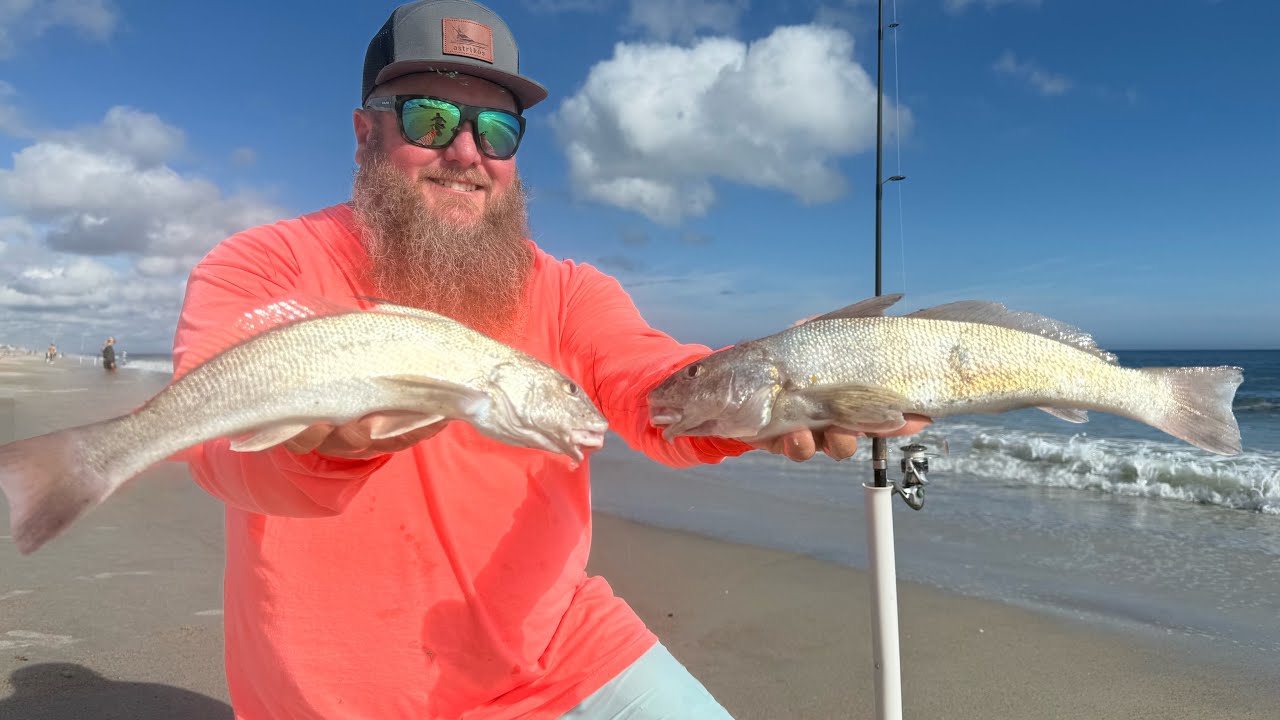 Surf Fishing for the MOST UNDERRATED Fish! - Whiting -
