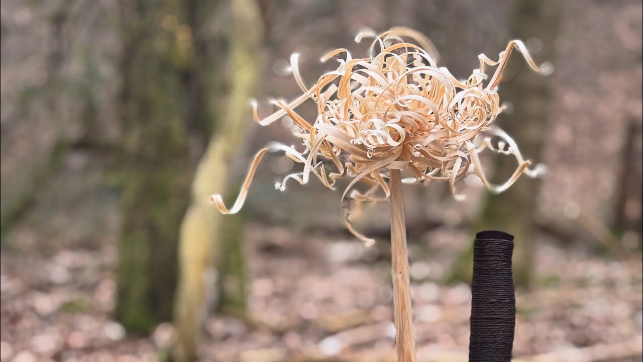 Wie mir die besten feathersticks gelingen…Bushcraft-Jamboree