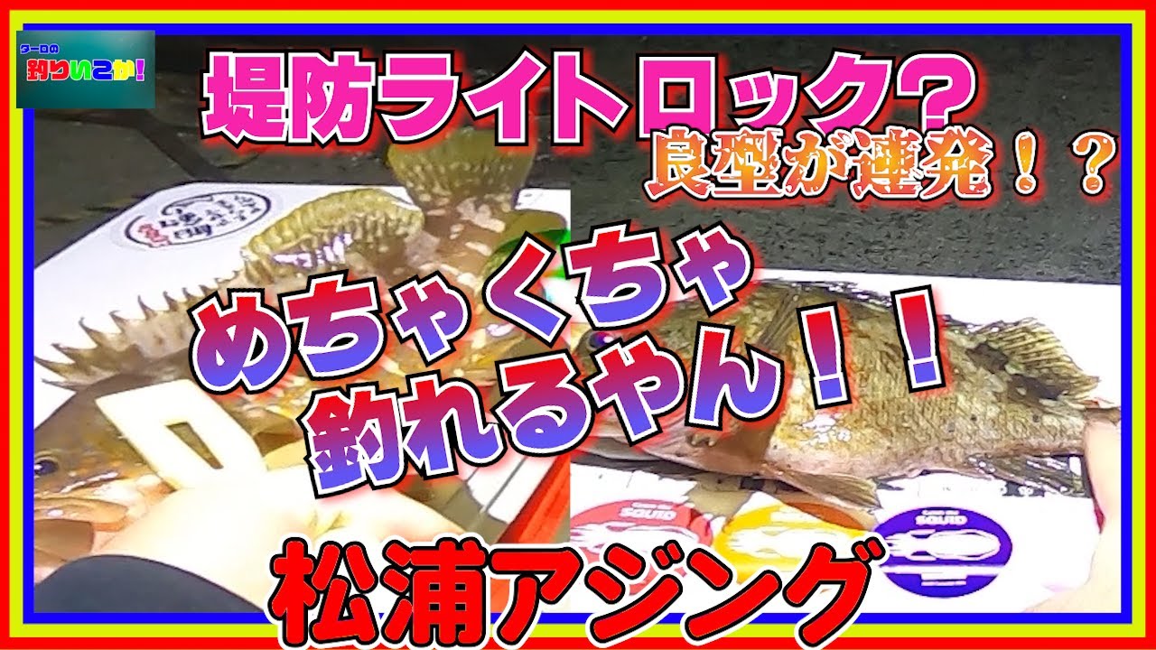 松浦アジング&ライトロックショア！？大漁！これは面白い！！