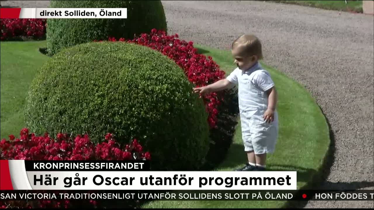 Här leker prins Oscar i rabatten - Nyheterna (TV4)