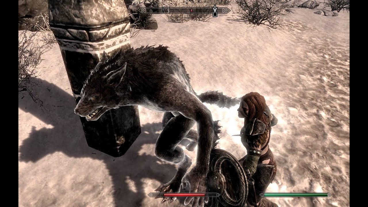 Permanent camera lock glitch-Skyrim