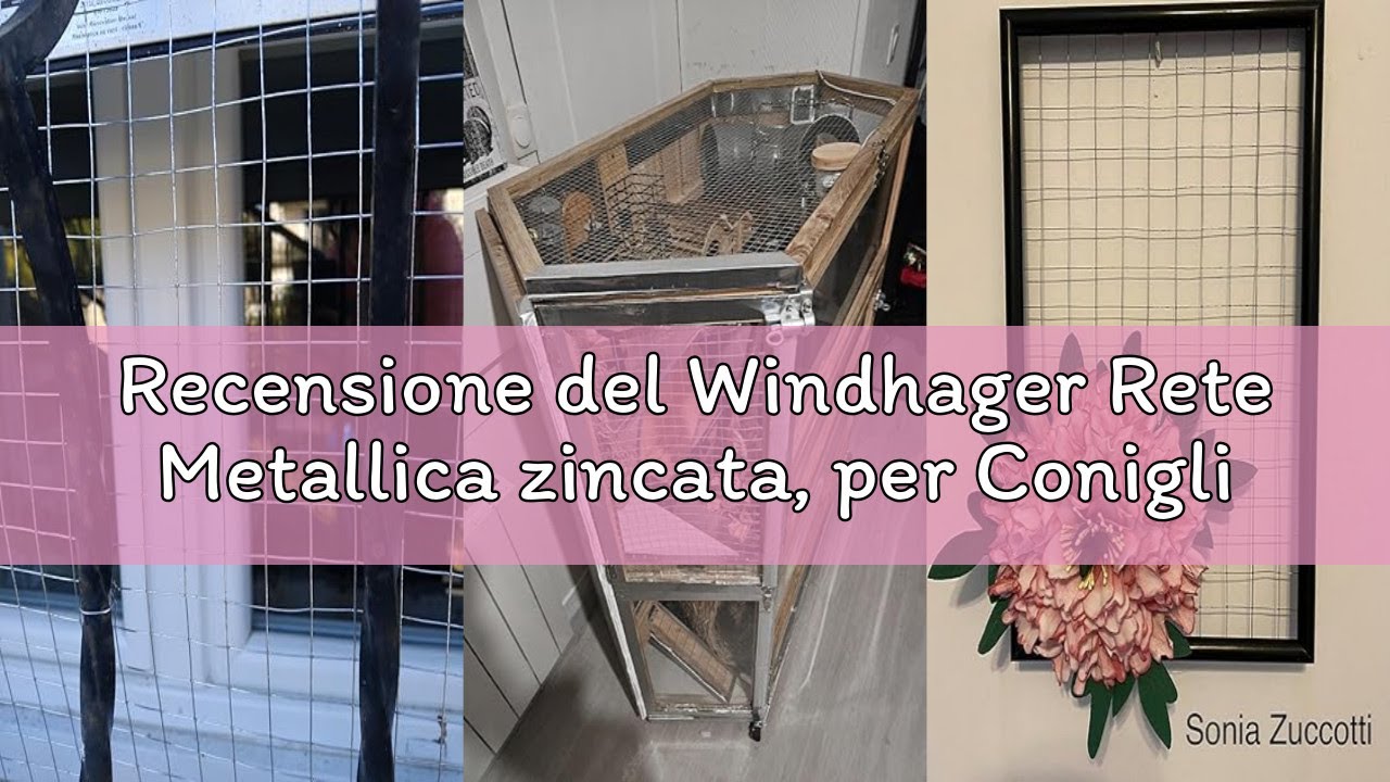 Recensione del Windhager Rete Metallica zincata, per Conigli, porcellini d'India o Galline, 5 x 1 m,