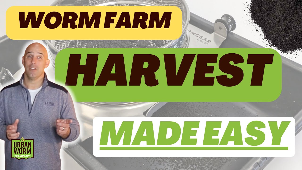 My #1 Tool for Harvesting Worm Castings The Easy Way