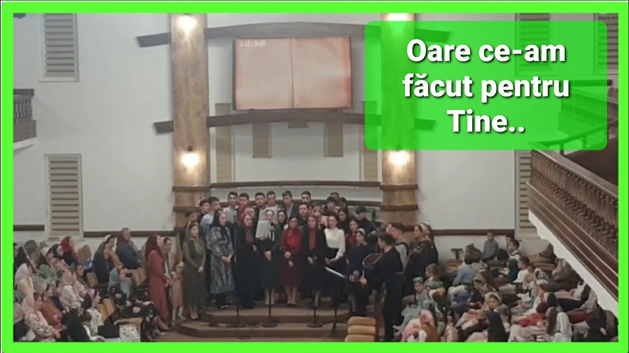 Tinerii De la Vicovu de Jos/Oare ce-am făcut pentru Tine