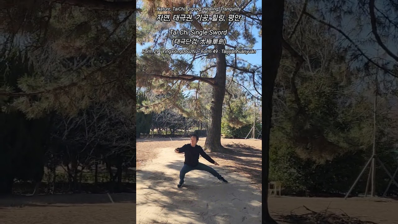 Tai Chi Single Sword (太極單劍) in Nature, Form 29 : YīngxióngDòuzhì ~ Form 49 : Tàijíjiànhuányuán