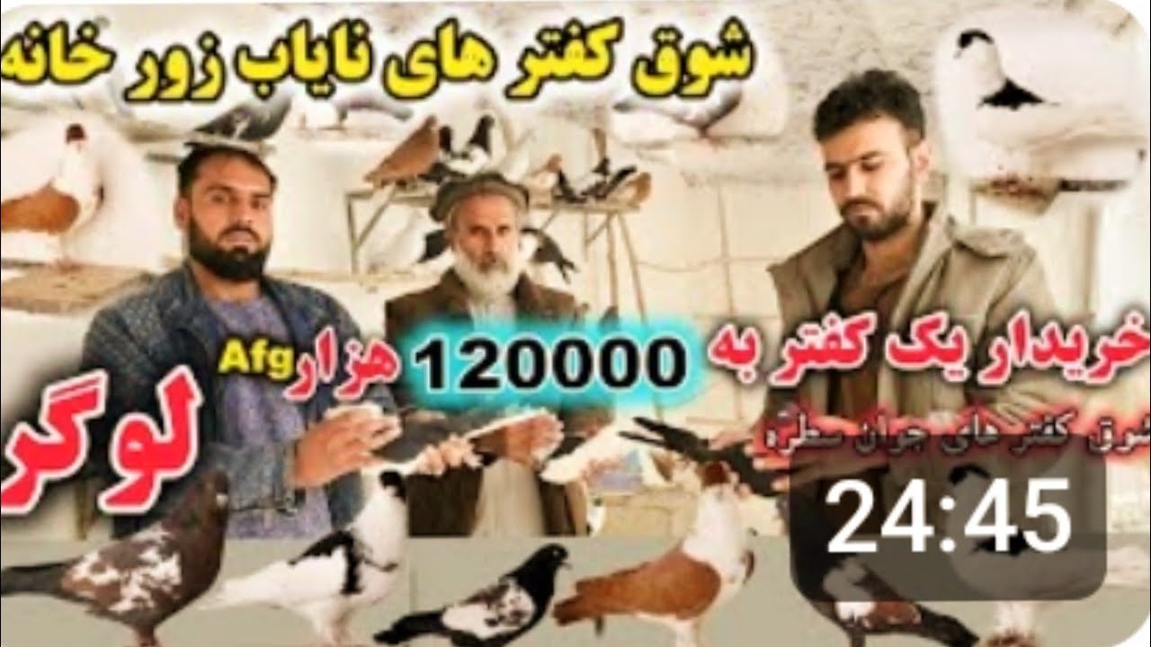 Страсть к голубям: Найиб Зурханех купил голубей за 120 000 афгани в Логаре.