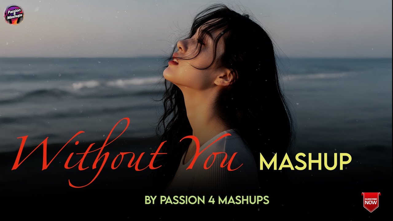 Without You Mashup | Passion 4 Mashups