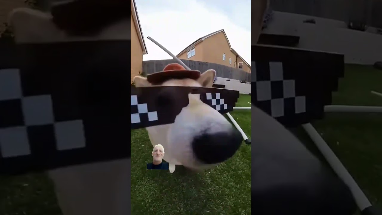 Coinvolgente 🤣