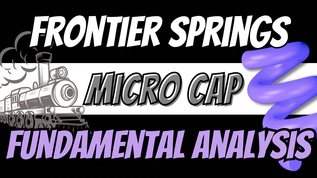 🟣 MICRO CAP Multibagger? Railway Proxy Stock | Fundamental Analysis | Frontier Springs