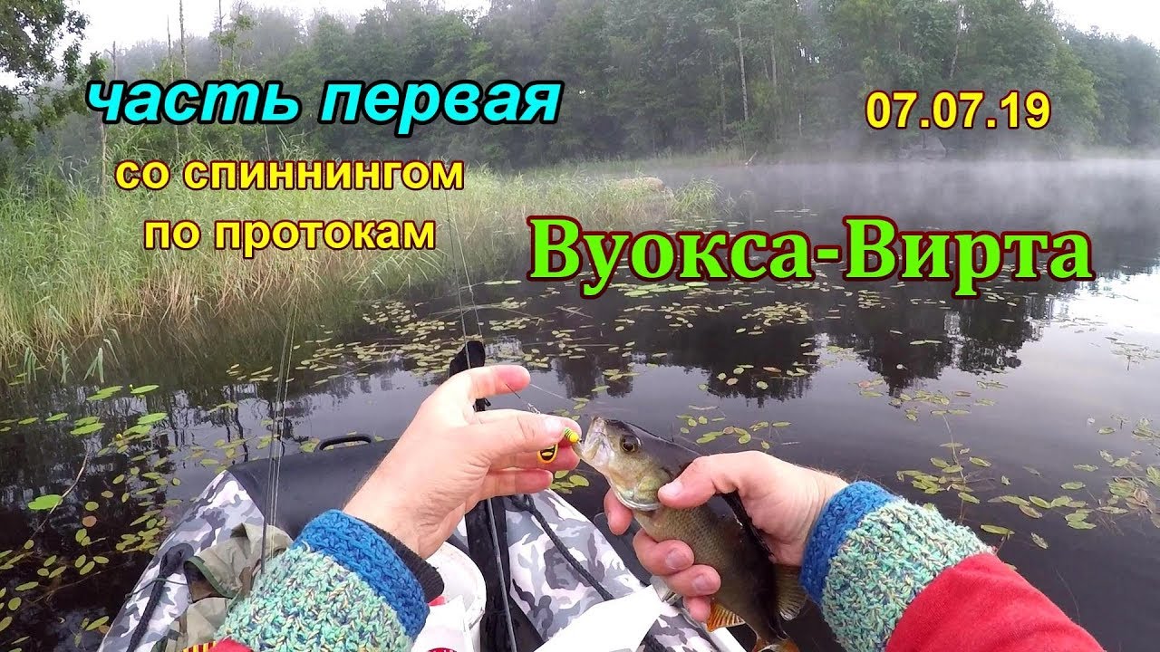 деревня Ромашки - рыбалка в протоках Вуокса-Вирта на спиннинг 07.07.19