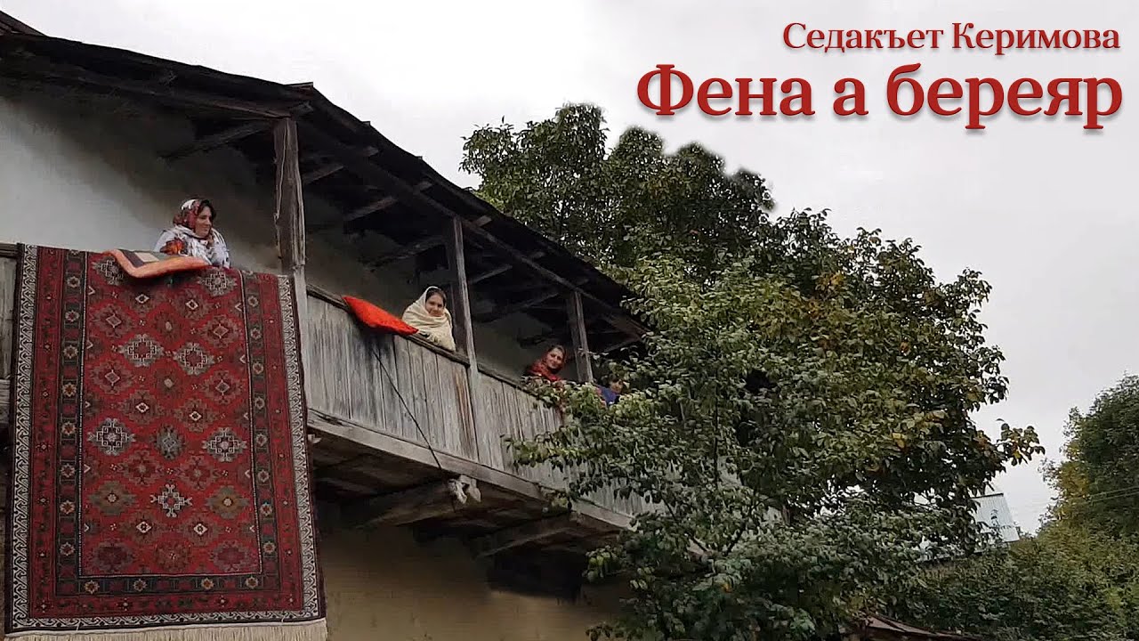 Фена а береяр. Седагет Керимова.