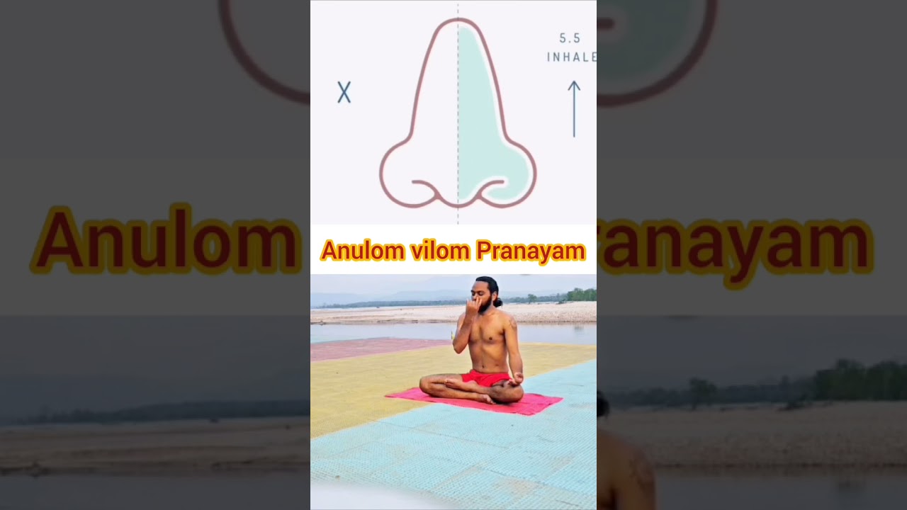 anulom vilom Pranayam ll #yog #yoga  #yogini #fit  #surat #india #nepal #goa #uk #usa #osho #viral
