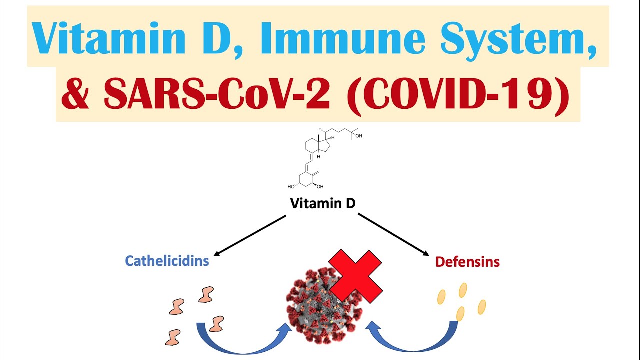 Vitamin D, Immune System & SARS-CoV-2 (COVID-19) | Mechanism of Vit D Immune Regulation & Overview