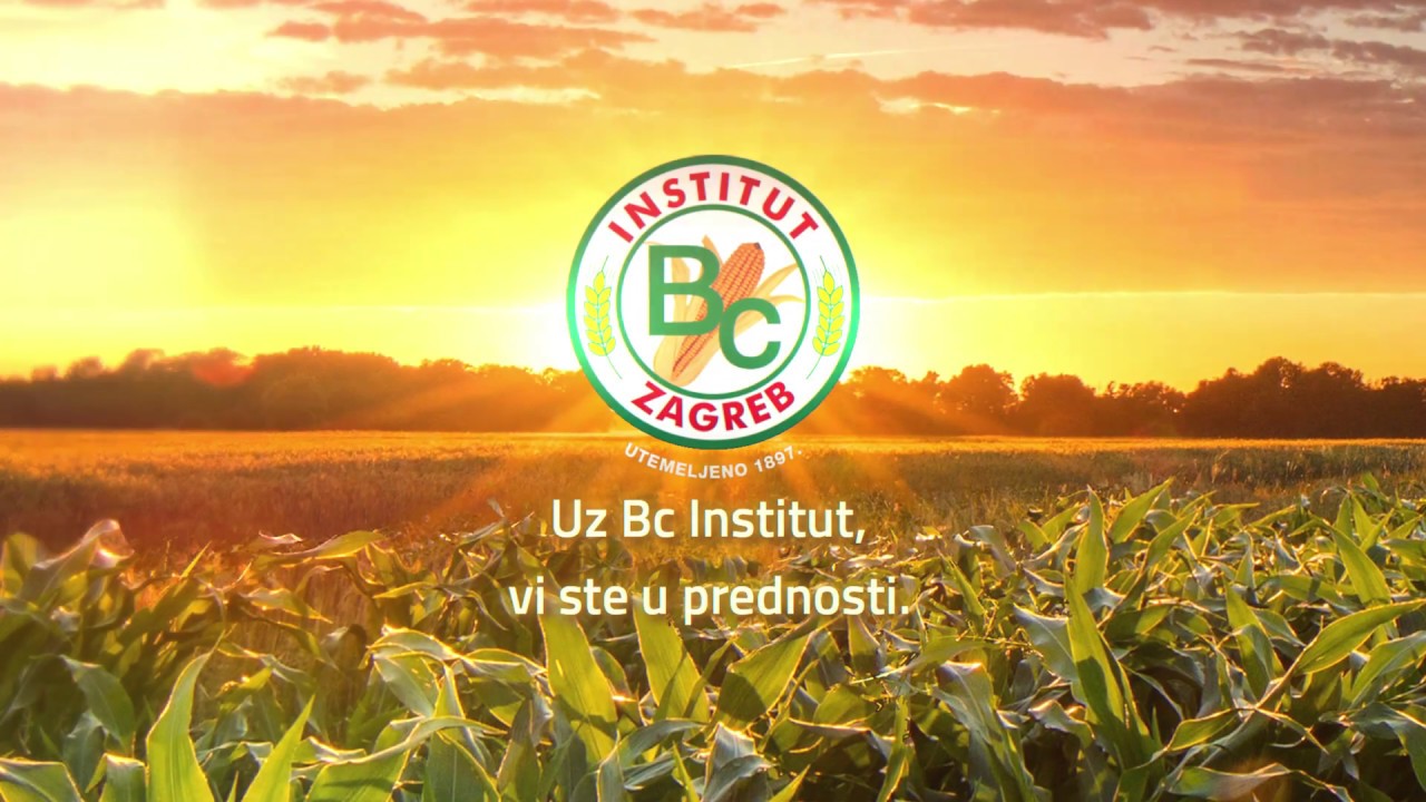 BC344 - Kukuruz za visoku rodnost