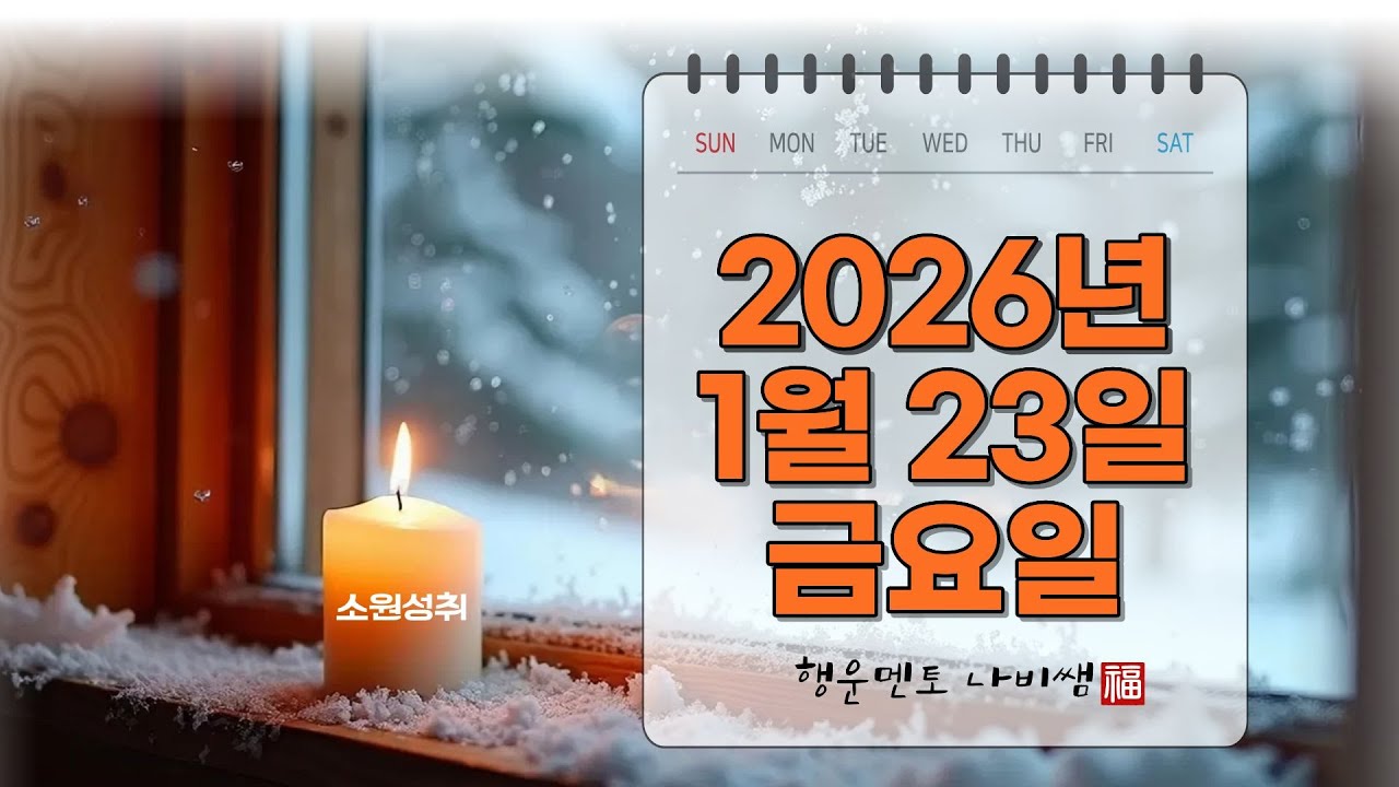 나비쌤의 오늘의 운세 🦋 종합운/연애운/금전운/행운의컬러/띠별운세/타로카드/사주팔자