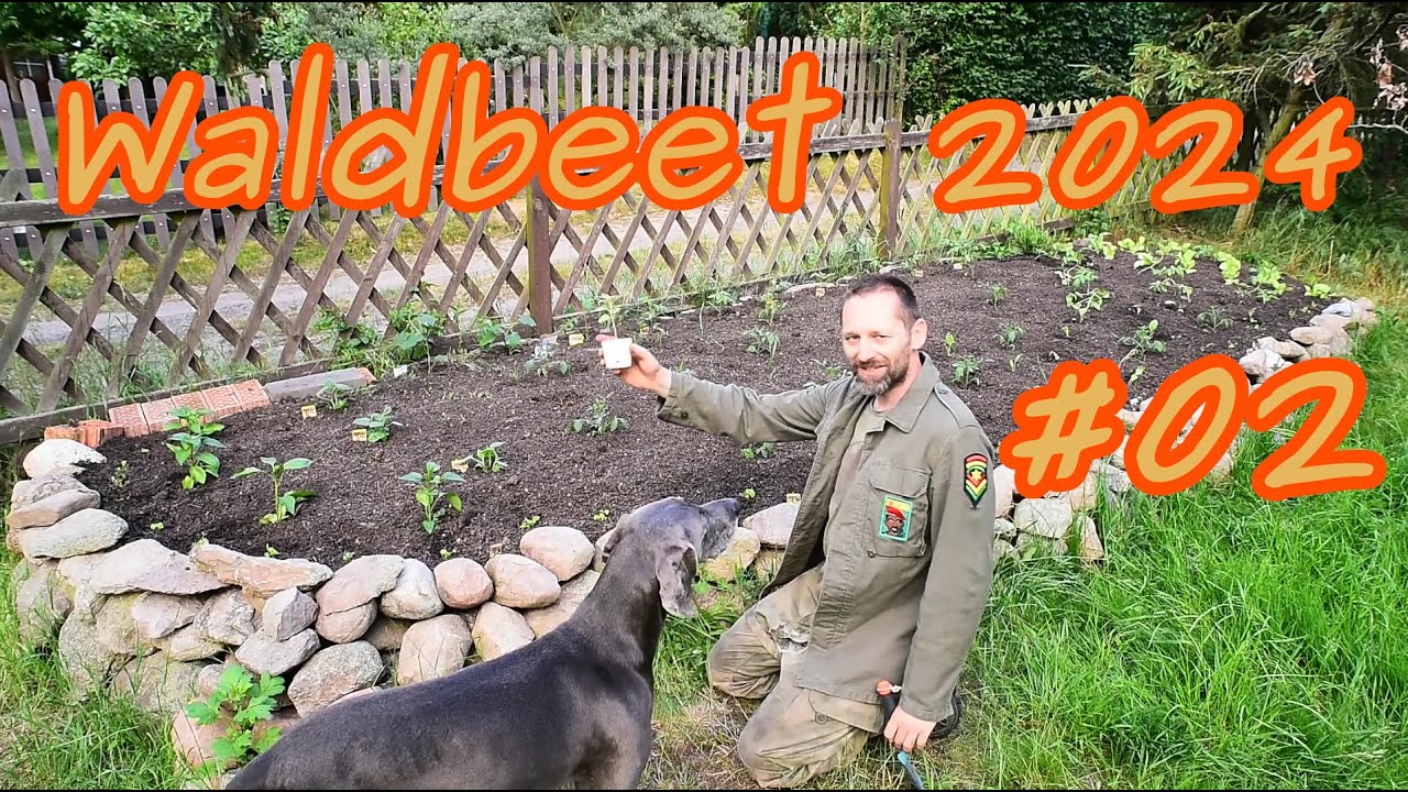 Mein Waldbeet 2024 - Teil 2 Einpflanzen
