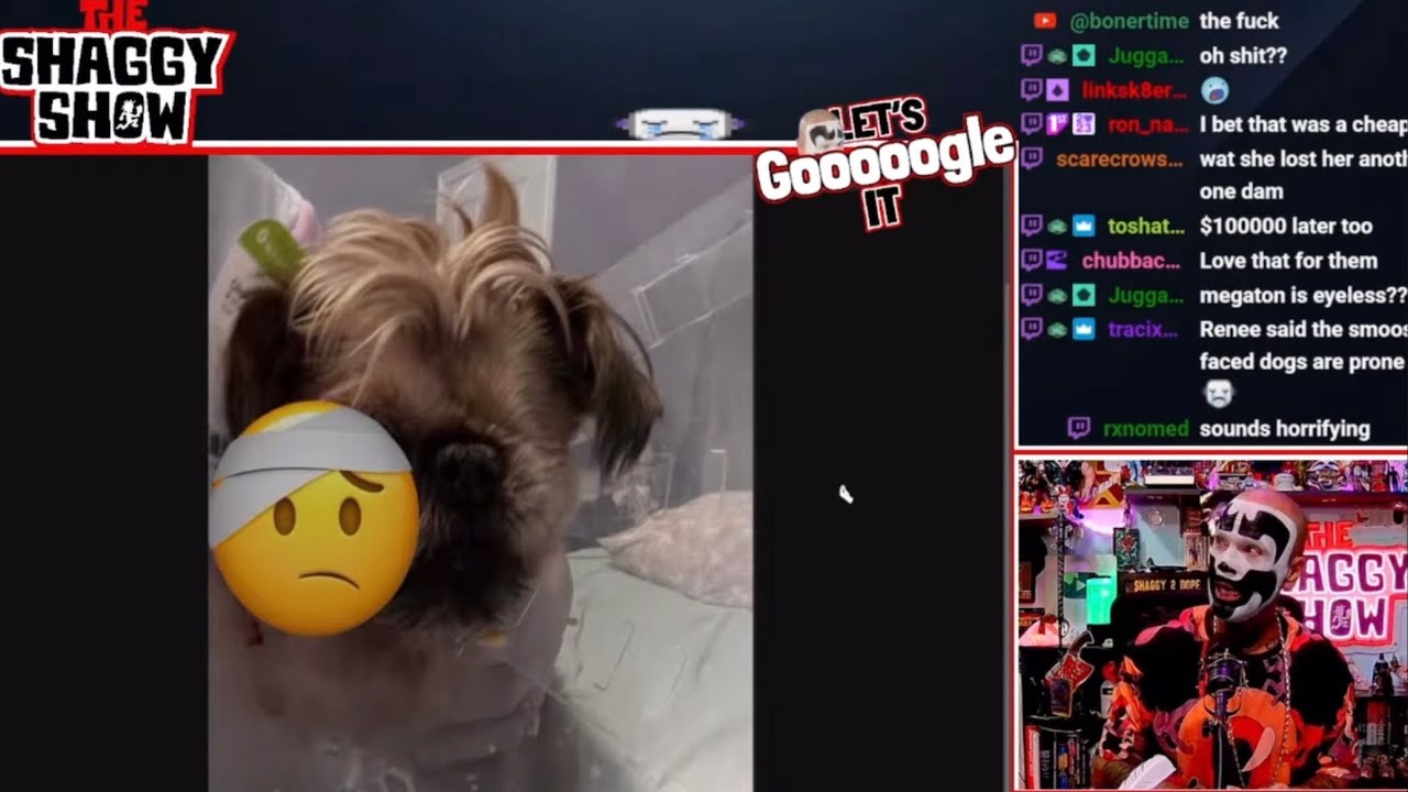 Shaggy 2 Dope’s Dog Had A Medical Emergency