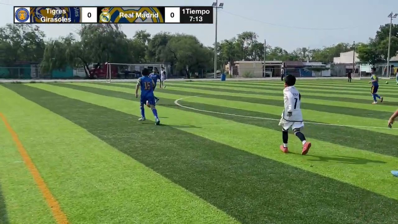 Tigres Girasoles Vs Real Madrid Soriano Cat 2013
