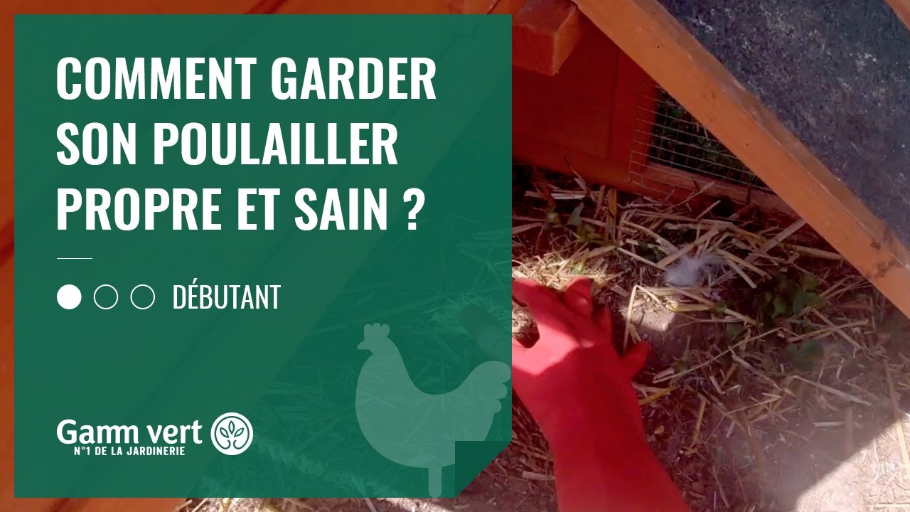 [TUTO] Comment garder son poulailler propre et sain - Jardinerie Gamm vert
