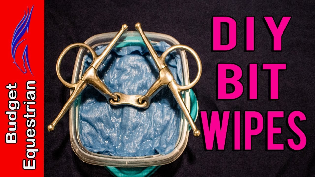 DIY Homemade Horse Bit Wipes | Budget Equestrian