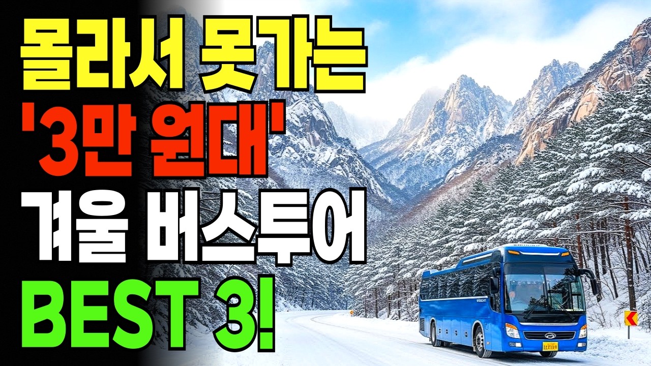 가성비 최고의 3만원대 겨울 버스투어 베스트3! 시니어 당일치기 여행 추천