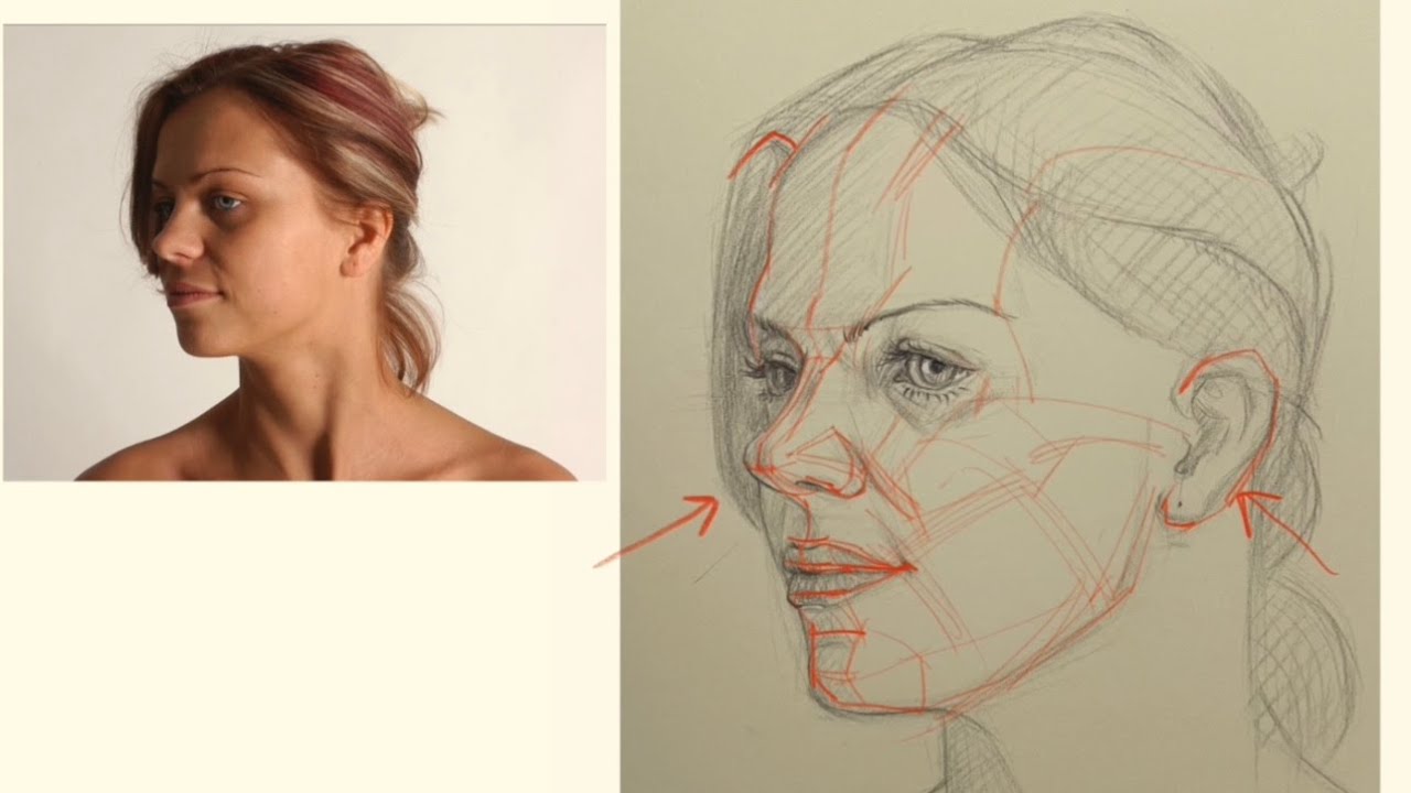 human art drawing｜Head Anatomy Drawing: Fix Flat Faces with Planar Analysis