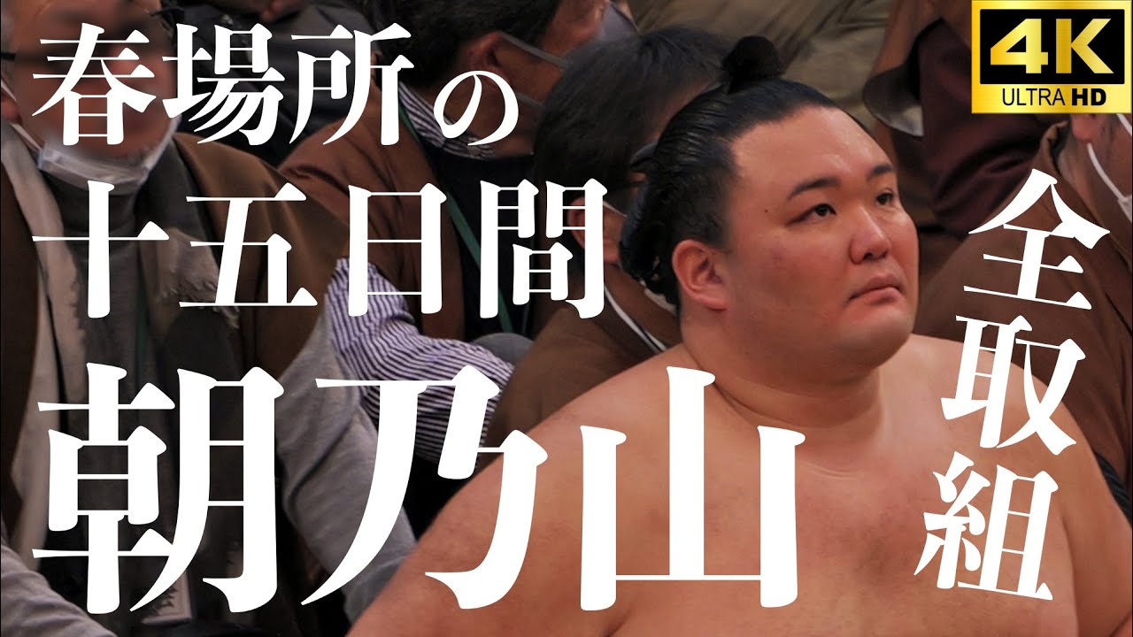 【朝乃山】あの“決戦”の取組も全て見せます。ショートカットver。大注目の春場所取組十五番。勝ちっぷり気持ちイイ。朝乃山の熱き闘いの記録【大相撲 sumo】