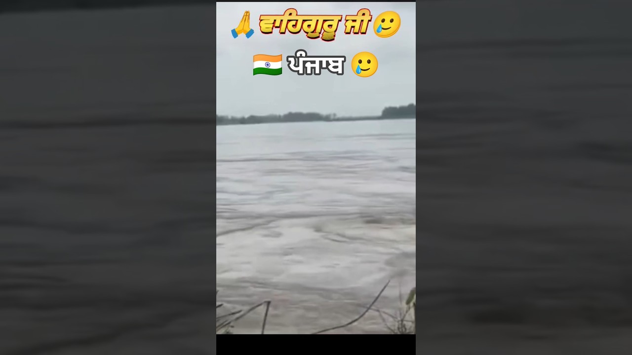 Beas River Satluj in Short Punjab Flood situation at River Head Islam #viral #short #shortvideo