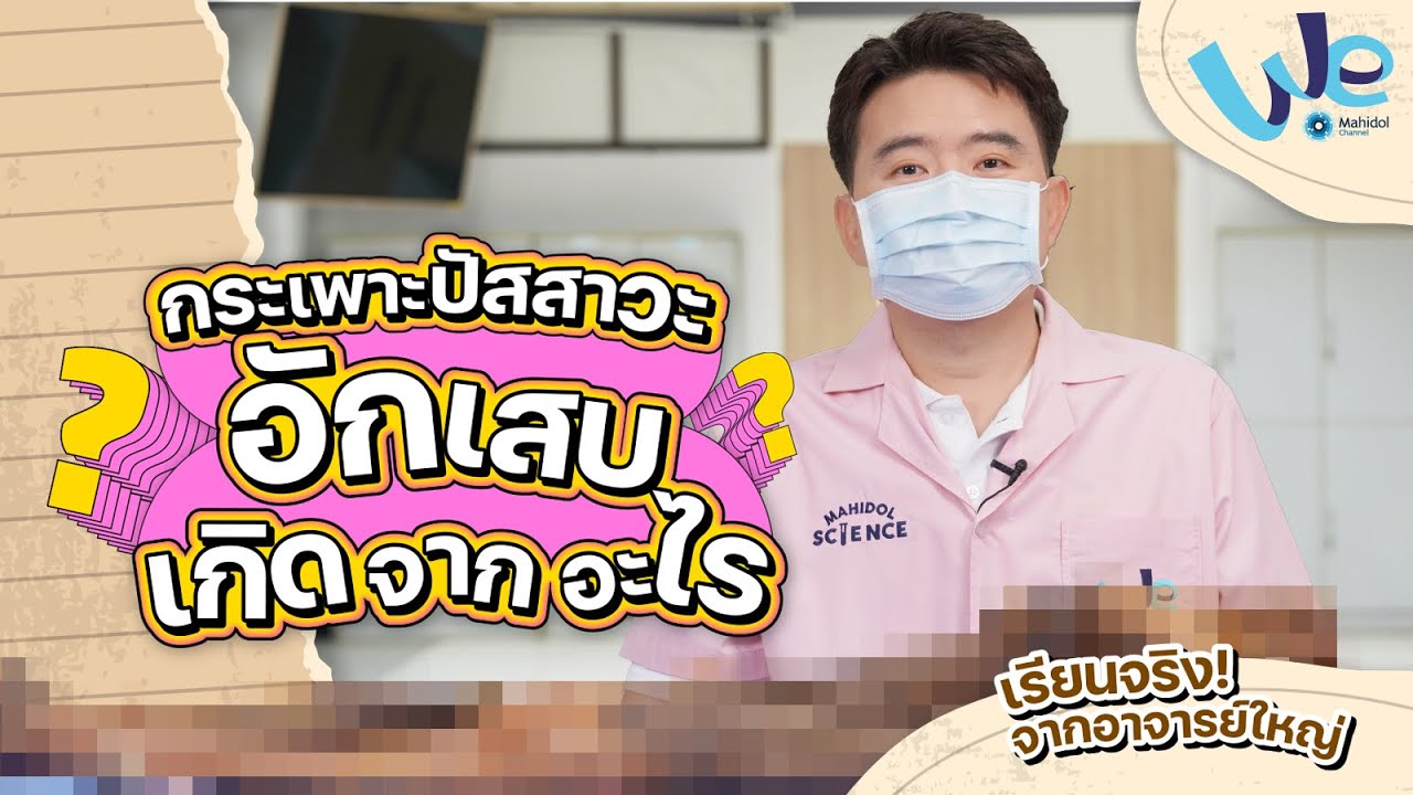 ห้องเรียน Anatomy : กระเพาะปัสสาวะอักเสบเกิดจากอะไร | We Mahidol
