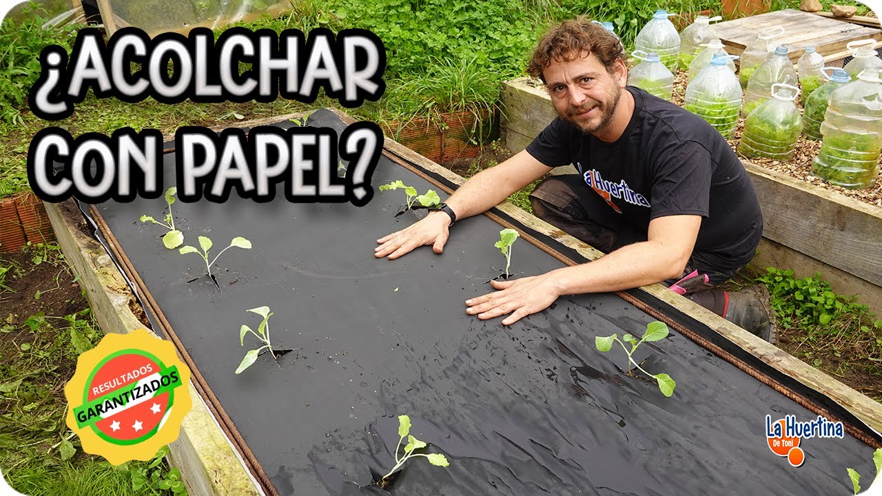 ¿Se Puede ACOLCHAR Con PAPEL En El Huerto? || La Huertina De Toni