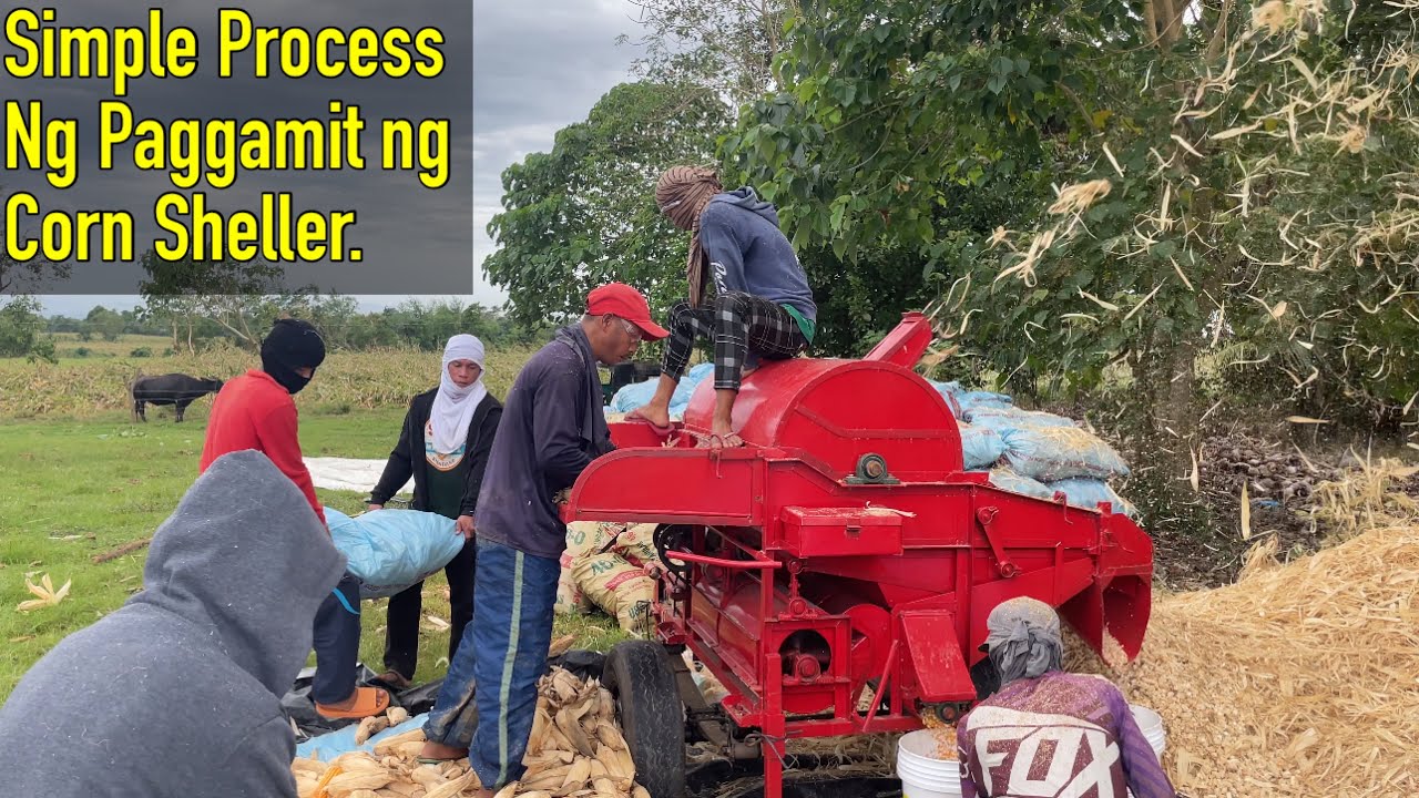 Simple Process ng pag gamit ng Multi Purpose Corn Sheller/Tresher