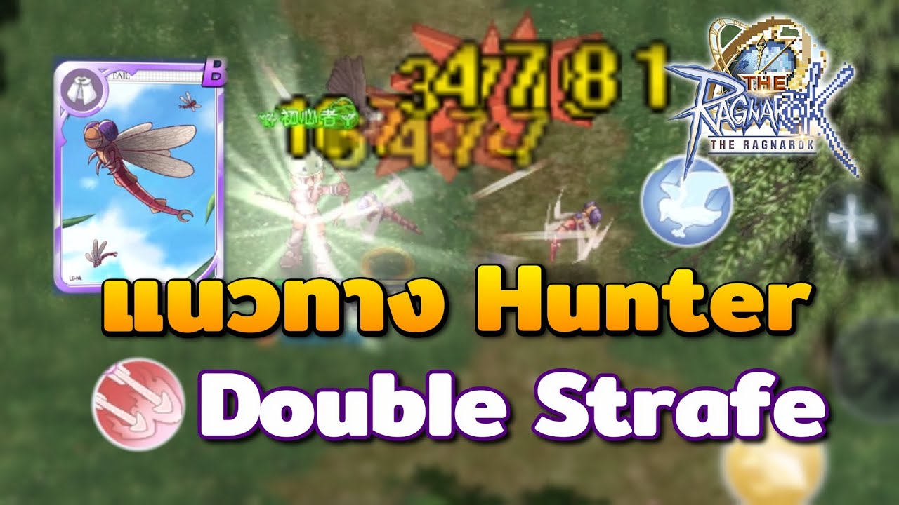 แนวทางการเล่น Hunter สาย Double Strafe + นก | The Ragnarok