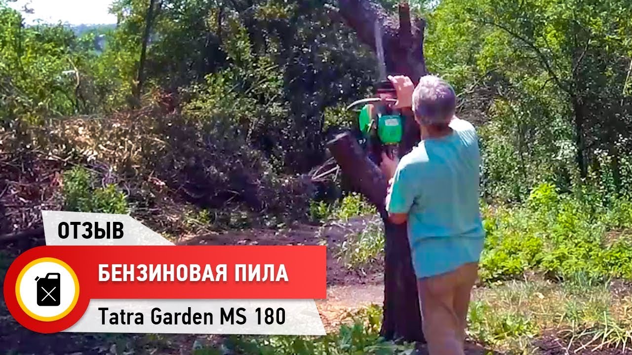 Бензопила в работе! Отзыв о пиле бензиновой Tatra Garden MS 180 NEW