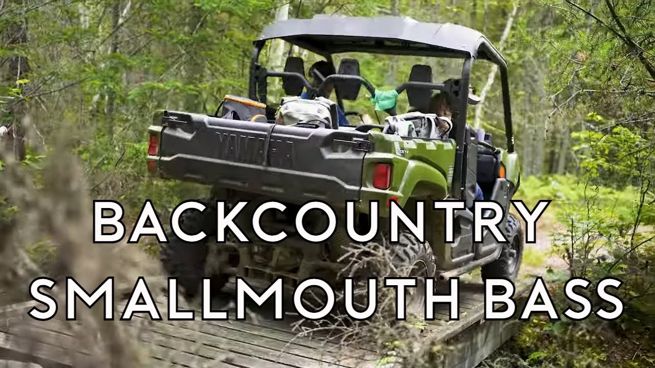 Outstanding Topwater Smallmouth Bass Fishing in BackCountry Lakes