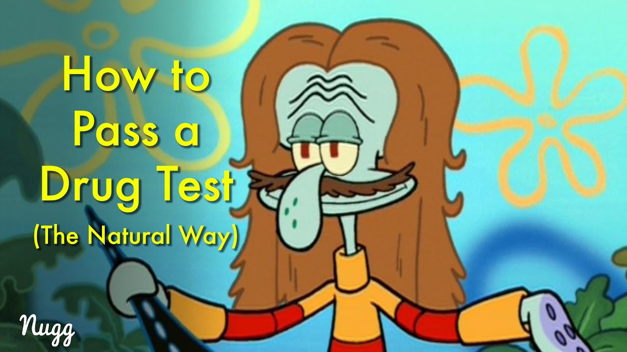 How to Pass a Drug Test Naturally (Urine, Blood, or Saliva)