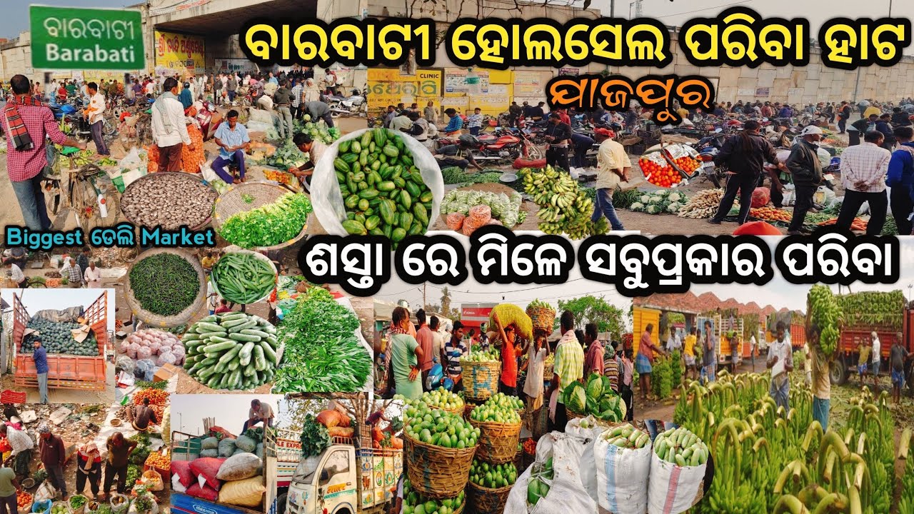 ବାରବାଟୀ HOLESEL ପରିବା ହାଟ 🔥All Vegetables ଶସ୍ତା ରେ ମିଳେ || Daily Market 