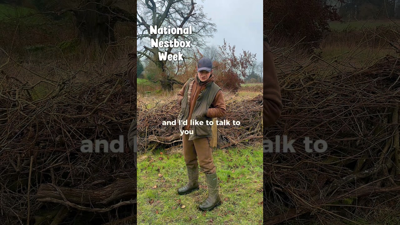 National Nestbox Week