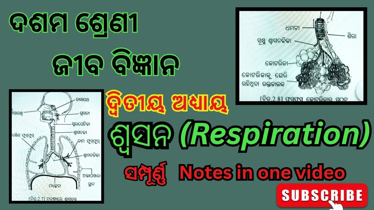 Class 10th Life Science Chapter 2 Respiration ( ଶ୍ବସନ ) All Notes In One Video !!