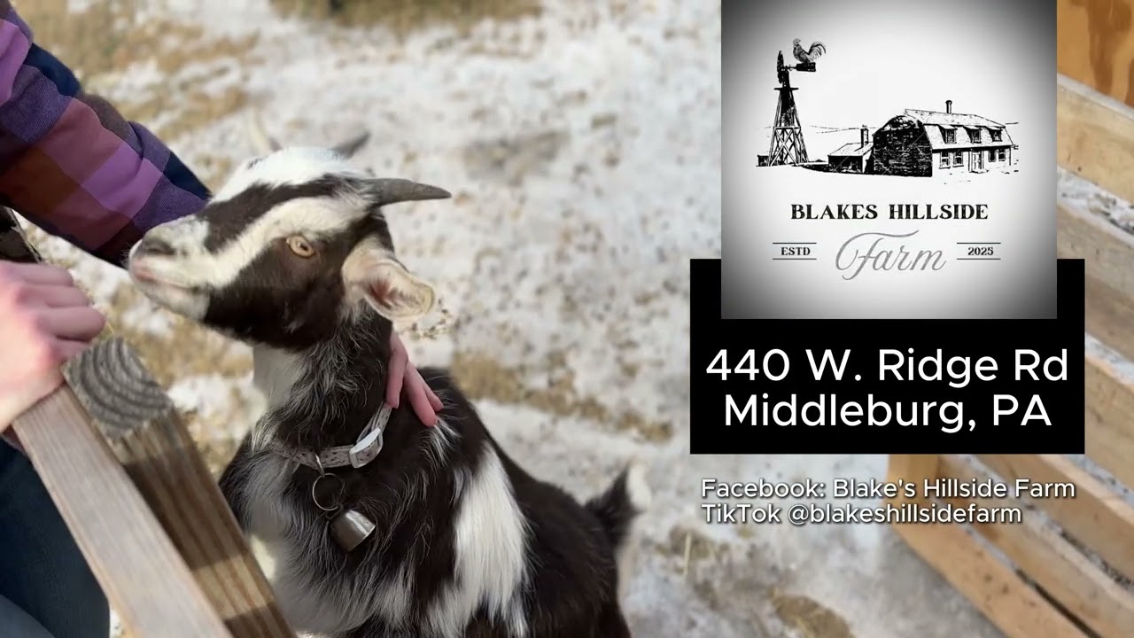 Christmas Tree Donation - Feed the Goats at Blakes Hillside Farm