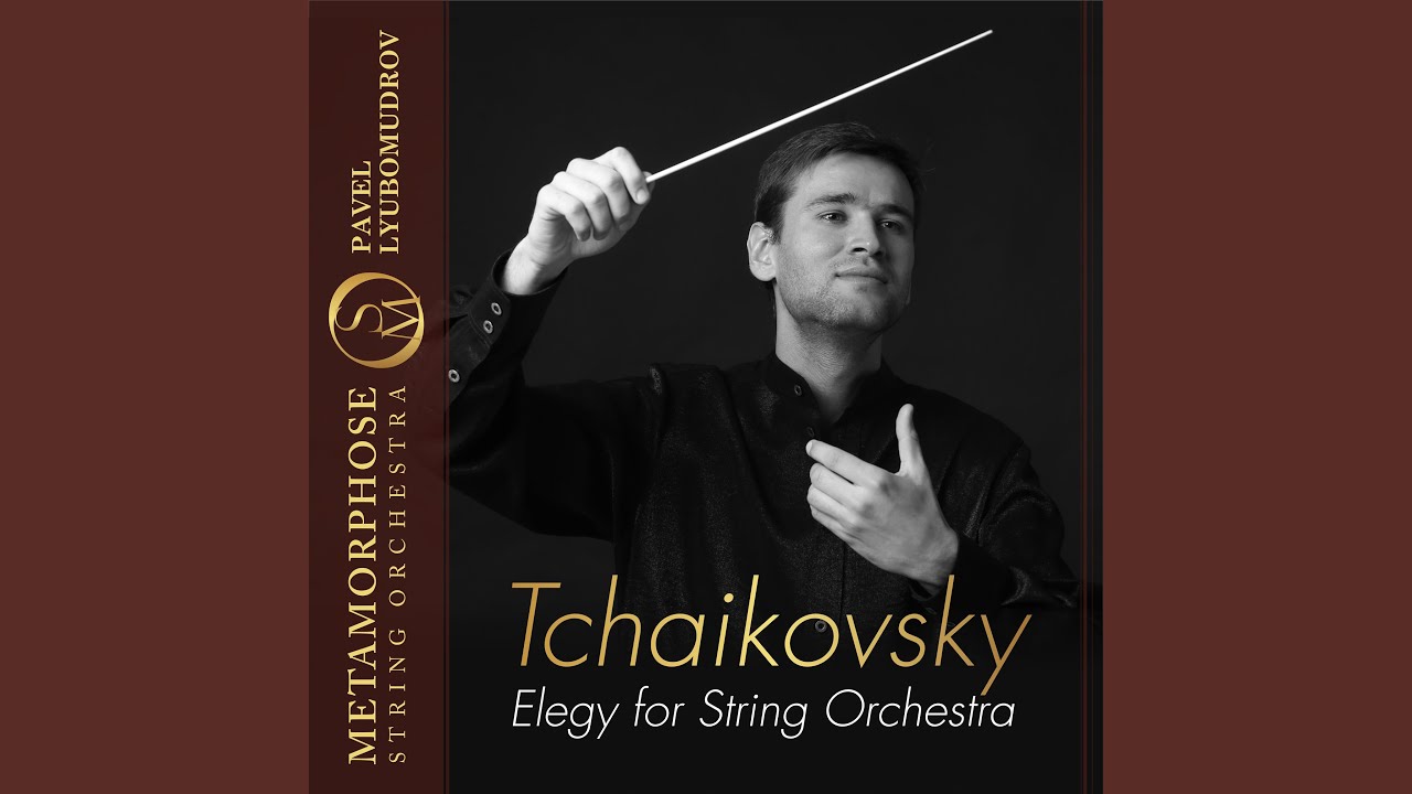 Elegy for String Orchestra