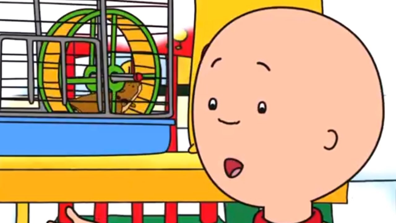 Caillou em Português ★ O Hamster de Caillou ★ Compilação de Episódios ★ Desenho Animado ★