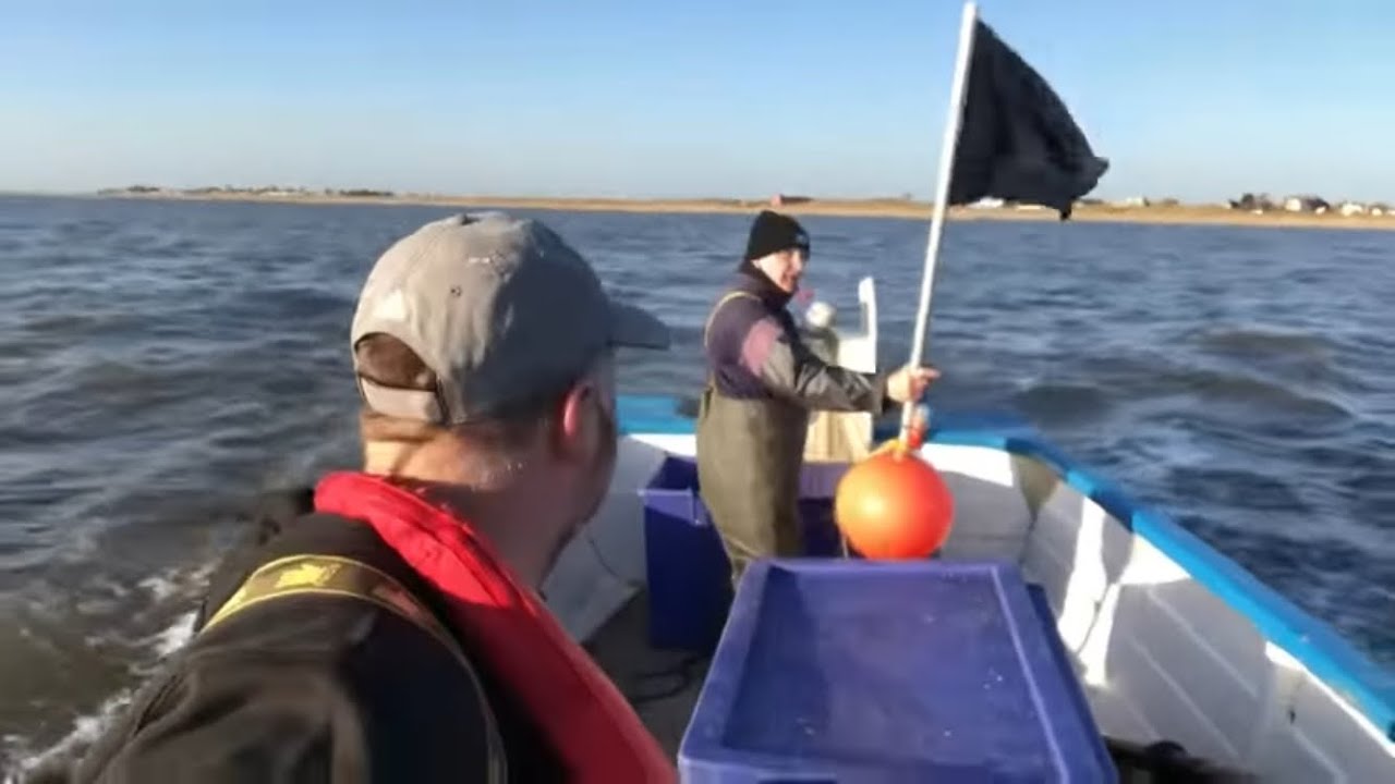 Birthday herring drift gill netting & visiting Lowestoft fish market PART 1. Beach boat sea fishing