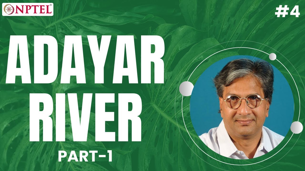 #4 Adayar River | Part 1 | Ecology and Environment