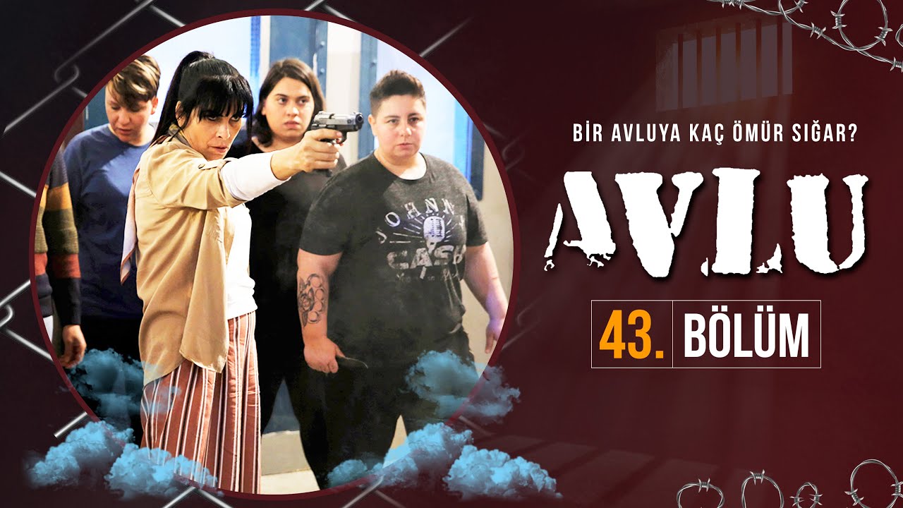 Avlu 43. B&ouml;l&uuml;m