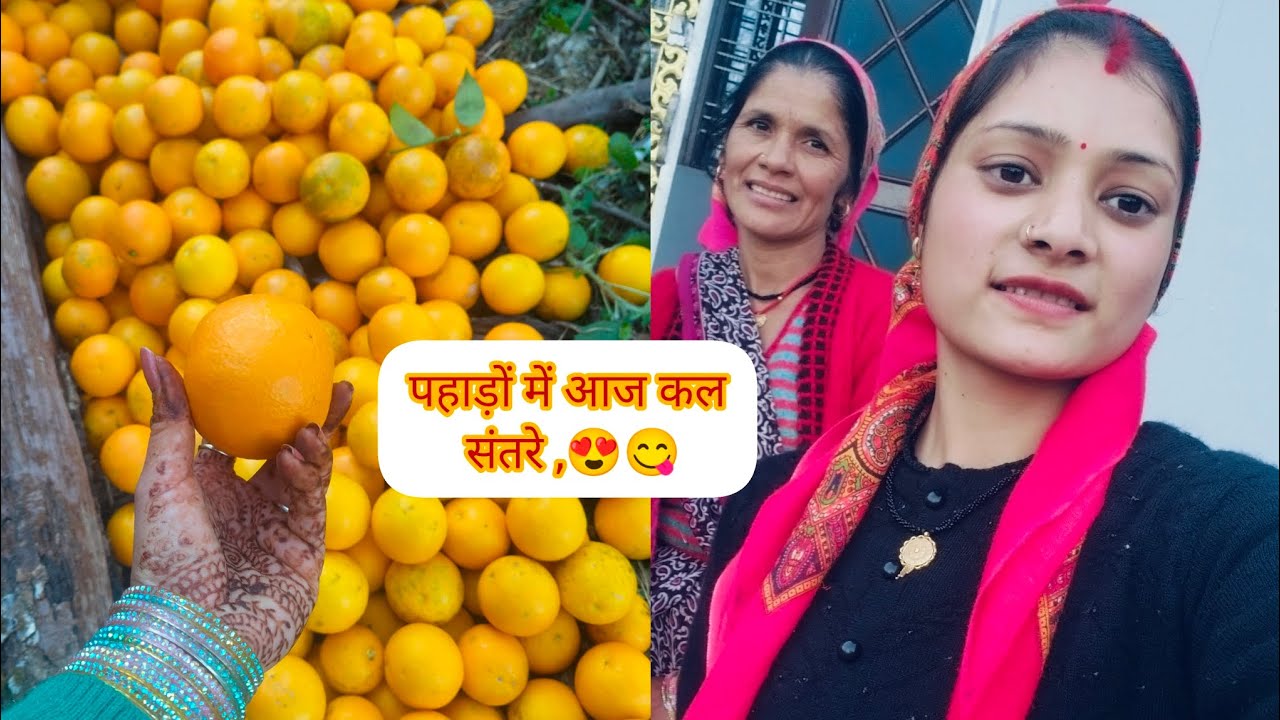 #आज बंदरो की डर से सारे संतरे भी निकाल दिए♥️🐒 और पहाड़ों में आज कल आनंद और पहाड़ी सुकून।😍😌