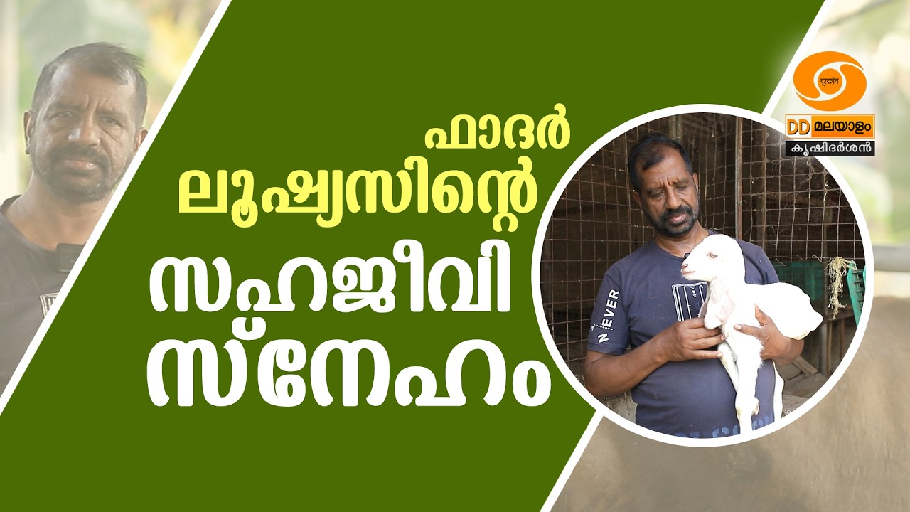 ഫാദർ ല്യൂഷ്യസിന്റെ സഹജീവി സ്നേഹം | Krishidarshan | DD Malayalam