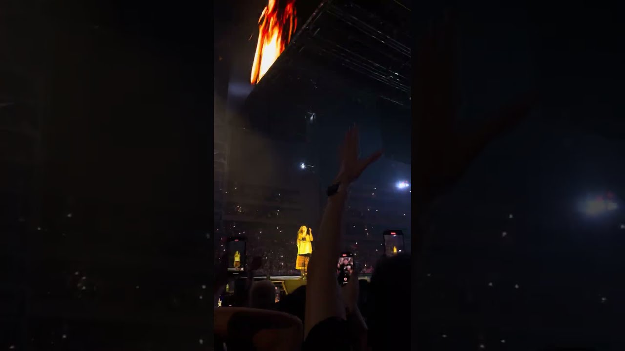 HMHAS BILLIE EILISH SAITAMA SUPER ARENA 8/16 - Birds of a feather live